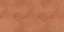 Leaves Outback 60x120