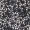 Bloom black