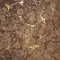 DAMASCO 2 Fondo Radica - Decoro Oro 30,5 x 30,5