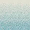 Myosotis