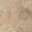 Aix Beige