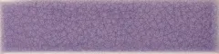 Lucida Viola (Лучида Виола)