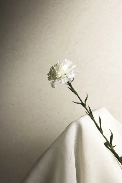 Интерьер 3340201