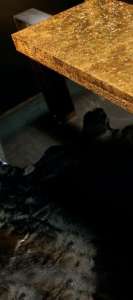 Интерьер 48658