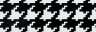 Le Grand Pied De Poule Black On White