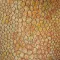 MAKU Fondo Naturale Decoro Giallo Reale Rosato 30,5 x 30,5