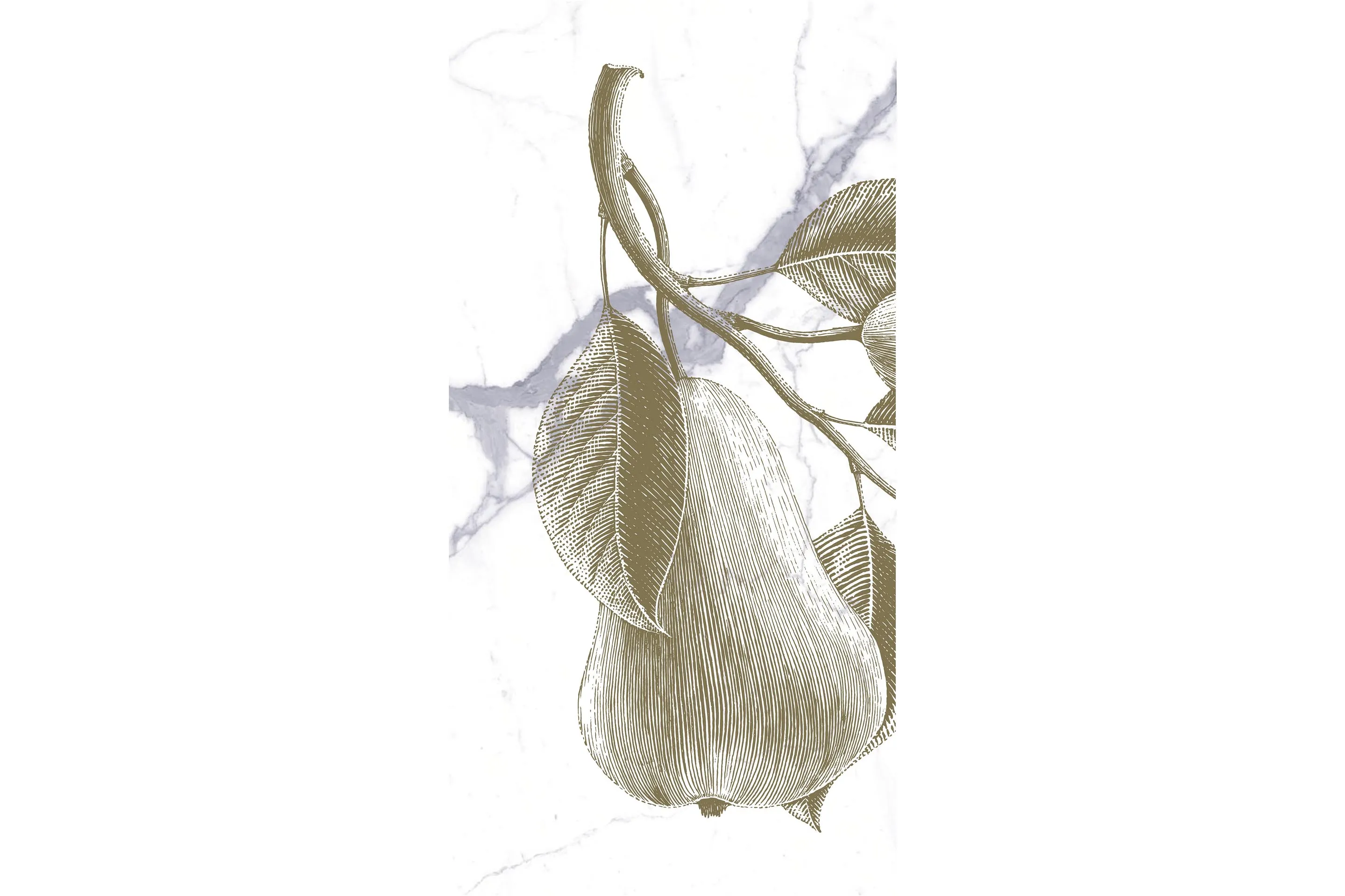 Керамогранит MaxFine by Iris FMG Design Your Slabs Pears Gold