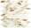 Calacatta Imperiale Mosaico Twist Shiny