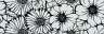Les Marguerites Black On White