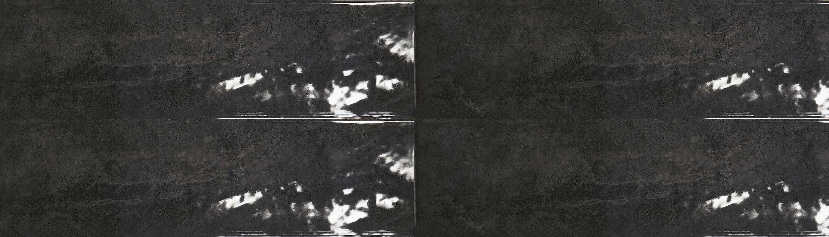 Керамогранит Tonalite Foliage Nero