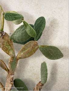 Интерьер 3133069