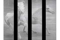 Панно Petra Antiqua Panel (Панно) Панно Horses (Комплект Из 4 Панно) Calacatta/Argentato