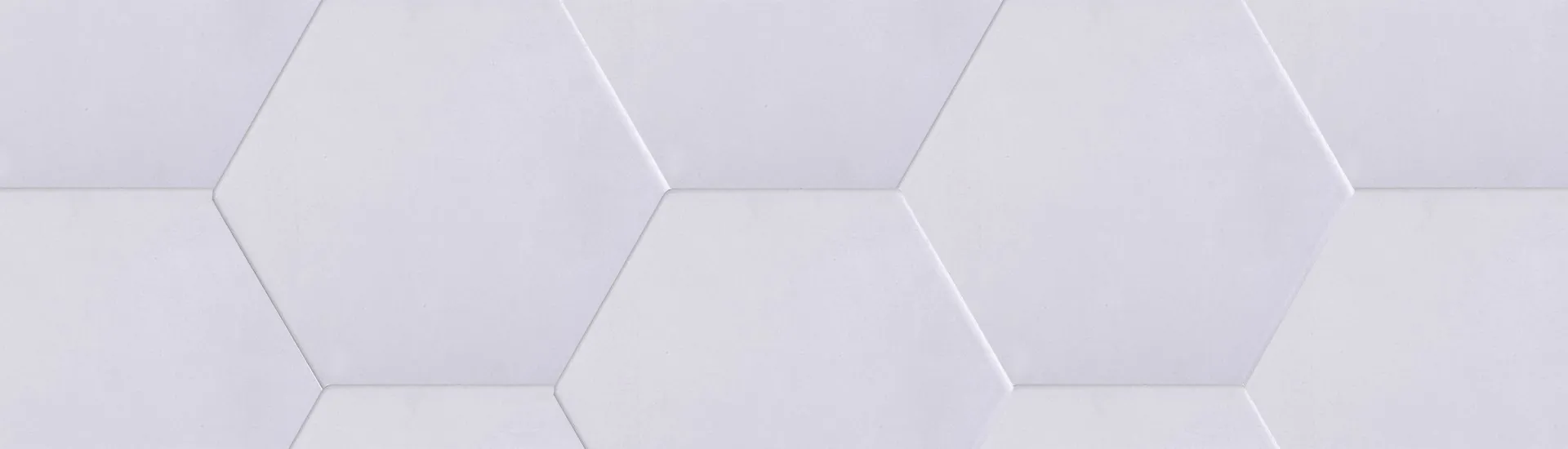 Керамогранит Tonalite Examatt Grigio Chiaro