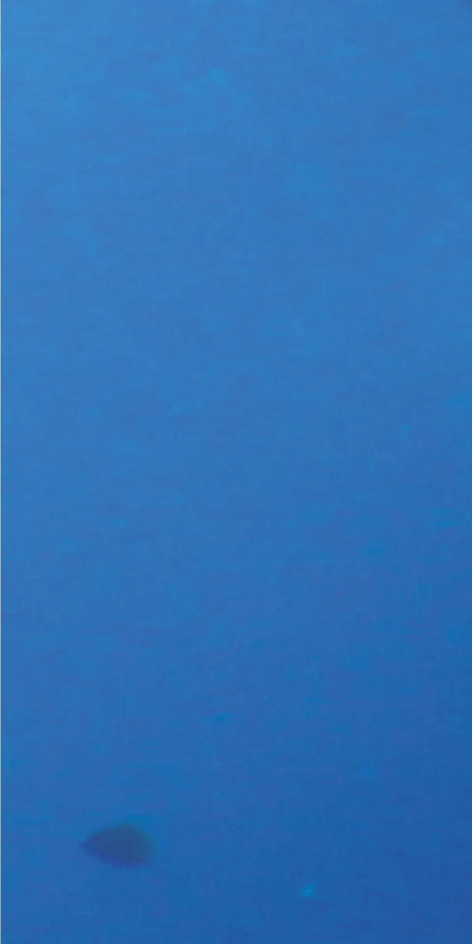 Керамогранит MaxFine by Iris FMG Design Your Slabs Coral Reef Fish