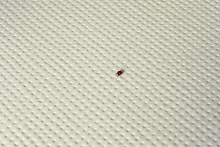 Интерьер 3126118