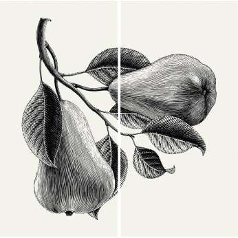 Керамогранит MaxFine by Iris FMG Design Your Slabs Pears