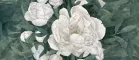 Peonia B (Пеониа B)