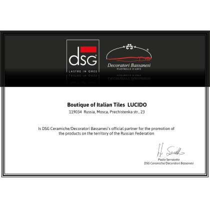 Диплом от DSG
