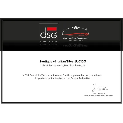 Диплом от DSG