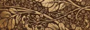 clipper 30,5x90 jacana rocher