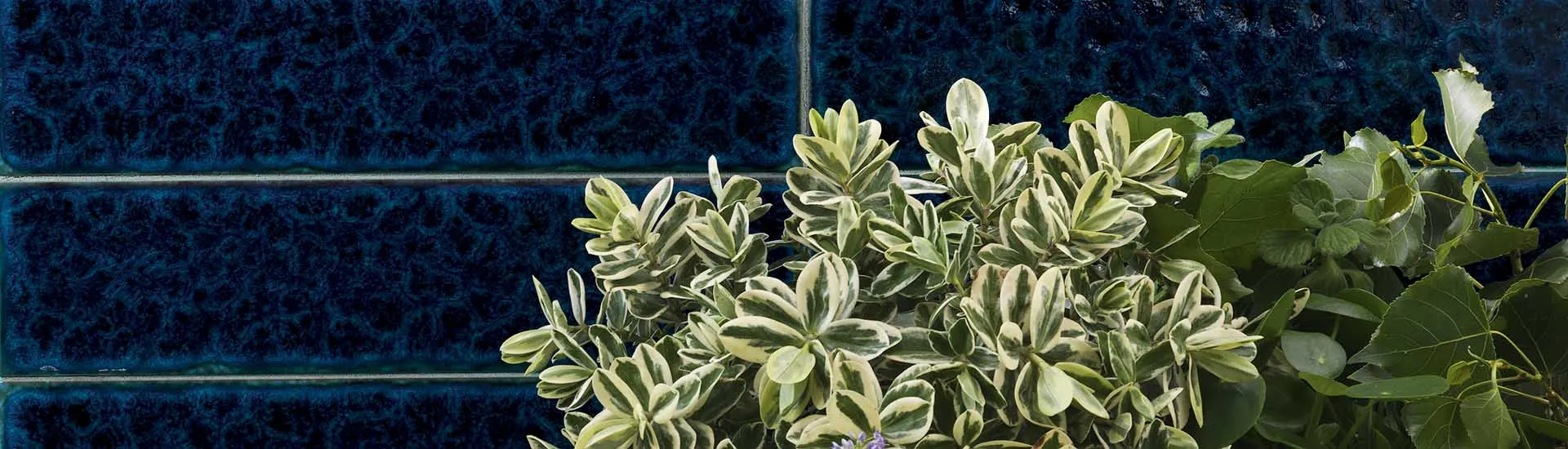 Керамогранит Tonalite Micronesia Blu