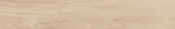 B (Б)
