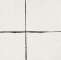 Teorema white