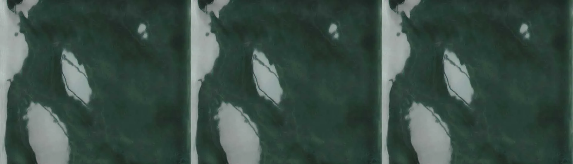 Керамогранит Tonalite Fluid Ficus