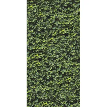 Керамогранит Casalgrande Padana Limpha Arborea