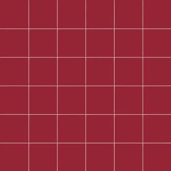 Керамогранит CE.SI. Lucidi Granato 5x5 Su Rete