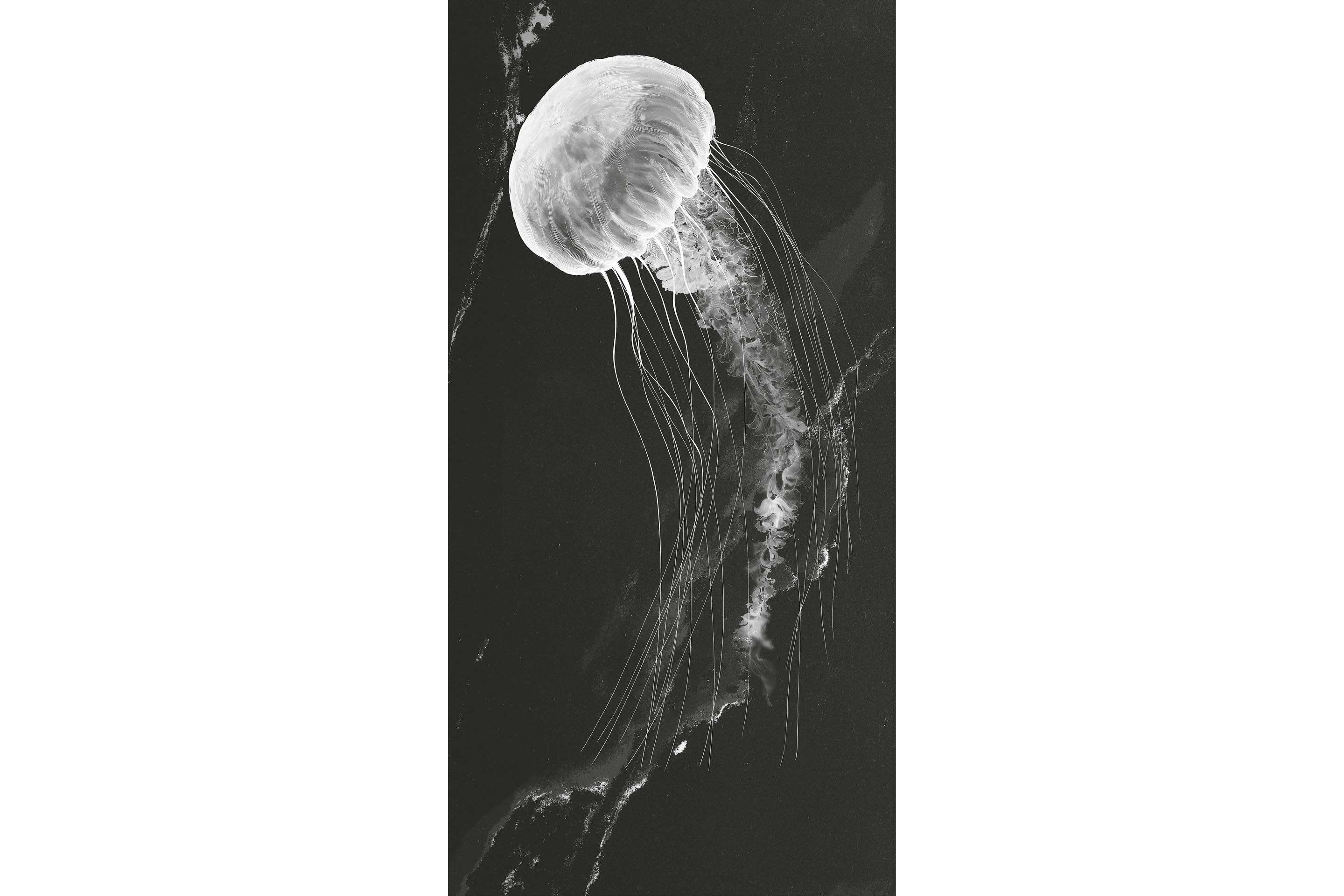 Керамогранит MaxFine by Iris FMG Design Your Slabs Jellyfish White