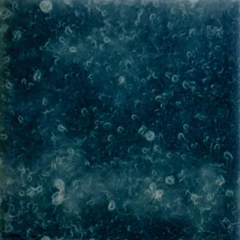 Керамогранит Pecchioli Firenze (Пеккиоли Фирензе) Dei Chini Fan 121