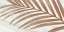 Palm Bronze