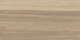 Beige Digue