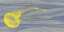Jellyfish Yellow