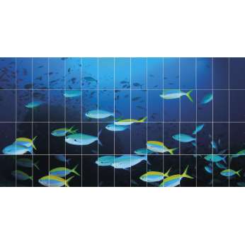 Керамогранит MaxFine by Iris FMG Design Your Slabs Coral Reef Fish