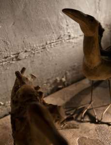 Интерьер 47893