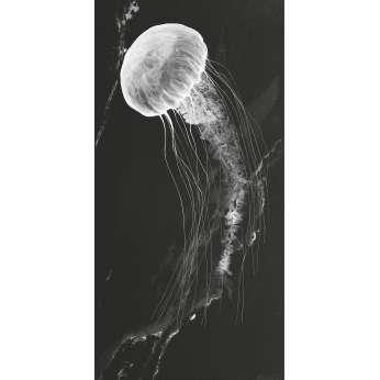 Керамогранит MaxFine by Iris FMG Design Your Slabs Jellyfish White