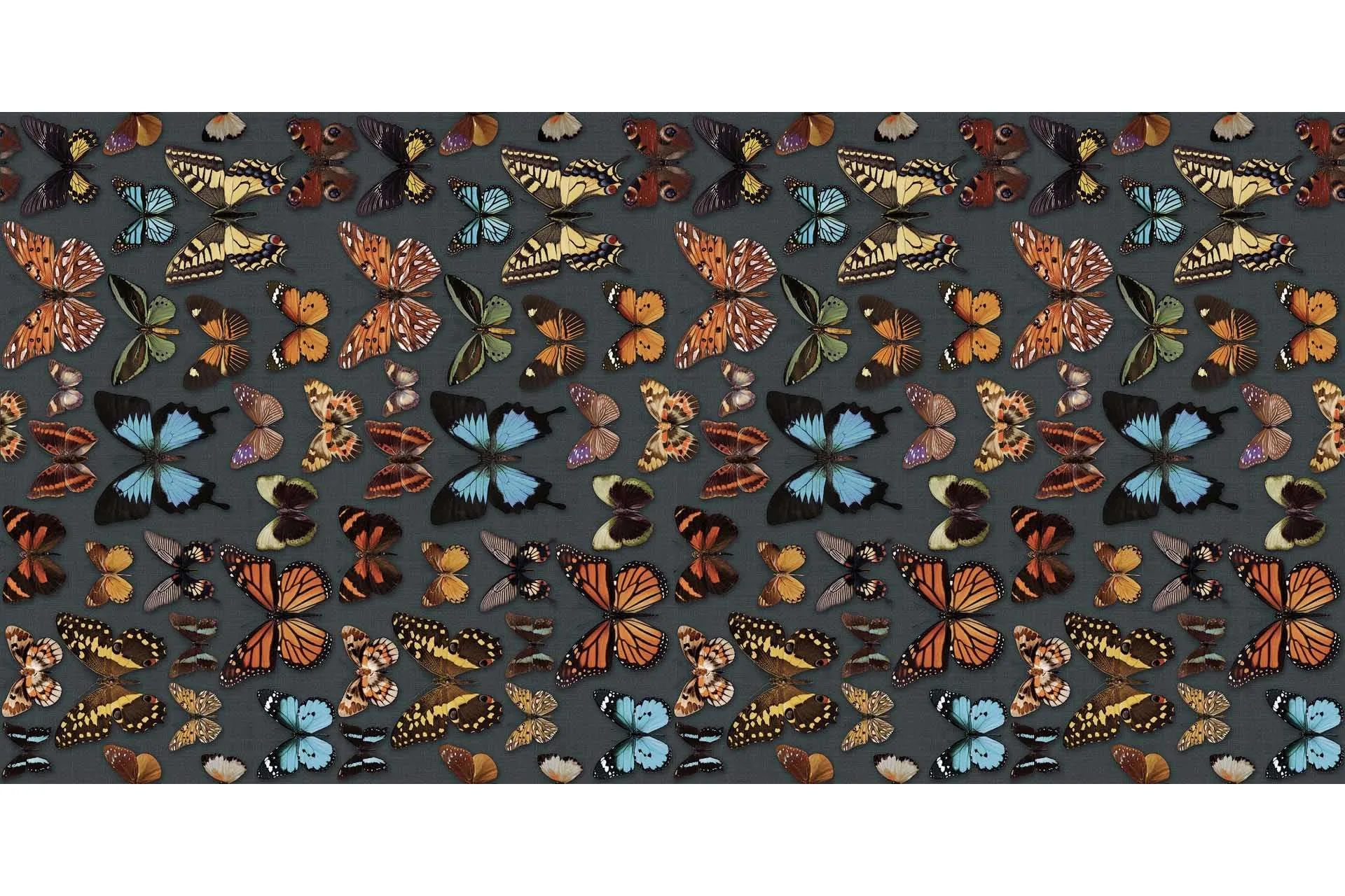 Керамогранит ABK Wide & Style Papillon