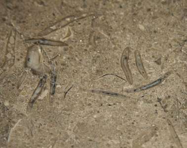 Интерьер 50194