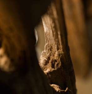 Интерьер 50221