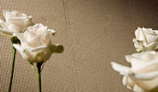 Интерьер 49774