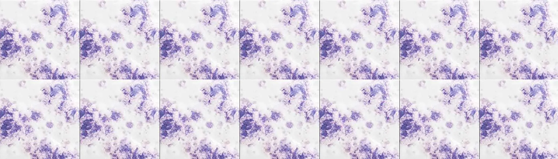 Керамогранит Pecchioli Firenze (Пеккиоли Фирензе) Dei Chini Ext 29