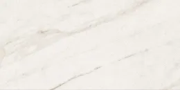 Field Calacatta Bernini