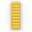 Lucida Giallo Oro