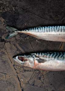 Интерьер 3102558