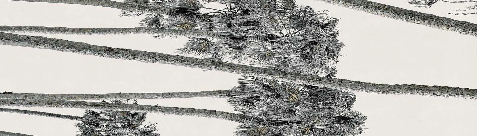 Керамогранит ABK Wide & Style Hollywood B