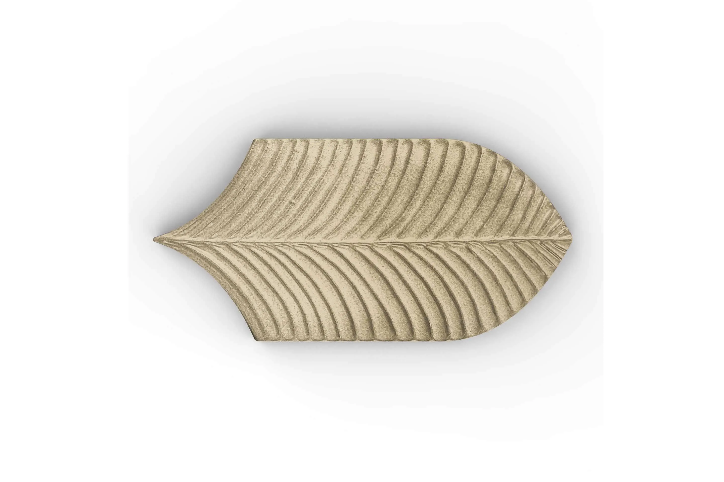 Керамогранит AcquarioDue Calathea Wonder Beige