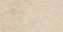 Beige Line