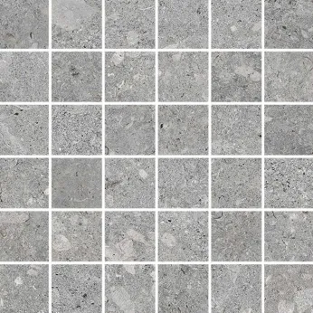 Керамогранит Terratinta Ceramiche Vicentina Mosaico Cenere